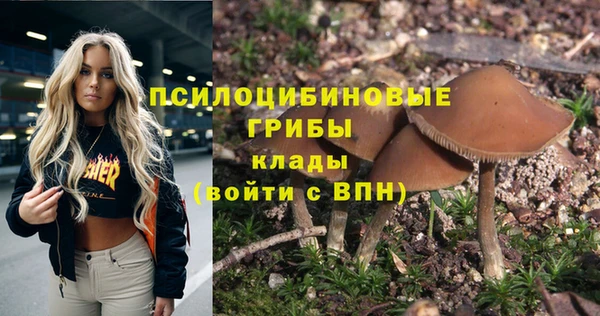 не бодяженный Алексин