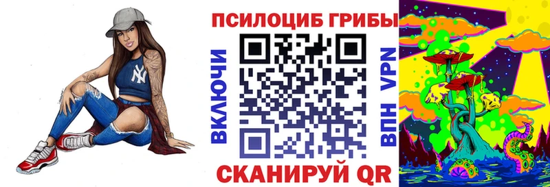 ссылка на мегу маркетплейс  Тара  Псилоцибиновые грибы GOLDEN TEACHER  закладки 